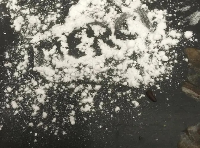 L'hostellerie Du Chateau Bed & Breakfast Mesnil-Saint-Nicaise